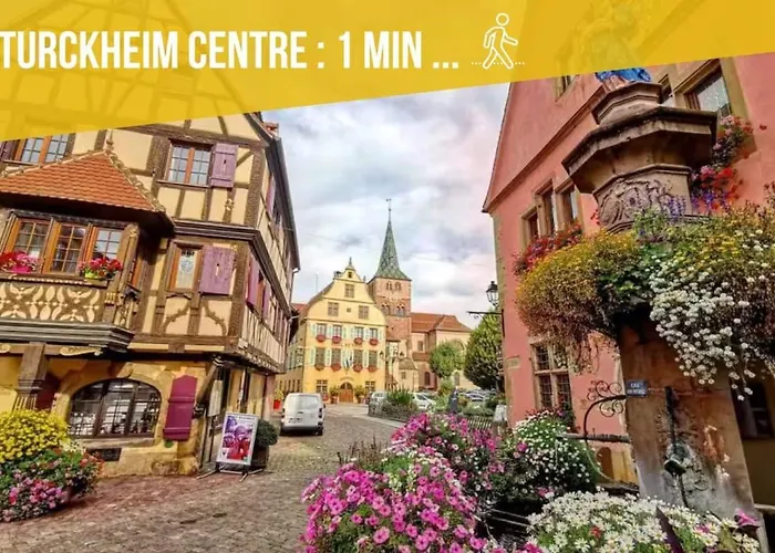 Appartement Chic - Turckheim